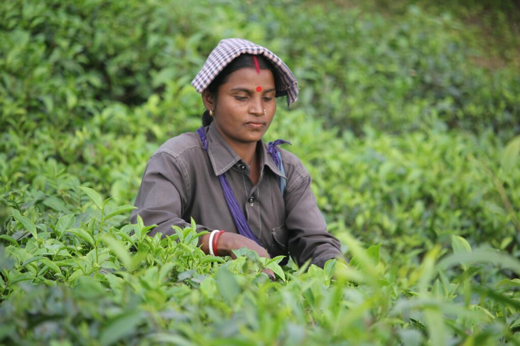 Woman in Black Leather Jacket Standing in Green Plants